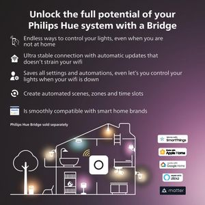 Philips Hue Gradient Lightstrip, 65 Inch – Smart LED Strip
