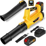 Cordless Leaf Blower, 6 Speed Modes