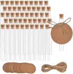 zrfgbxim 50 Pcs Clear Plastic Test 