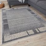 THE RUGS Ultra Soft Area Rug – Modern Luxury Fluffy Rug, Grey Plain Pattern Rugs for Living Room, Bedroom, Kids Room (160x230 cm, Grey)