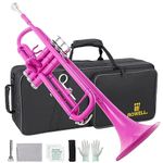 ROWELL Bb Standard Trumpet Professional Brass Trumpets for Beginner Standard Student Trumpet Set with Hard Case, 7C Mouthpiece, Cleaning Kit, Gloves(Purple)