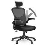 Office Chair Back