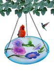 Songbird Essentials SE5003 Hummingbird Hanging Bird Bath (Set of 1)