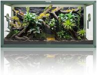 Phailozoo 50 Gallon Bearded Dragon 