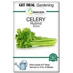 Celery Seed For Planting