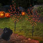 Lighted Halloween Tree Branches, 30