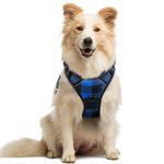rabbitgoo Dog Harness, No-Pull Pet Harness with 2 Leash Clips, Adjustable Soft Padded Vest, Reflective No-Choke Pet Oxford Vest with Easy Control Handle for Medium Dogs, Blue Plaid, M