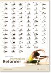 STOTT PILATES Wall Chart: Intermediate Reformer