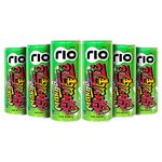 Rio Raw Mango Bubbly Fruit Drink Can | Soft Drink | Exotic Fruit Juice + Fizz | Rich In Vitamin C and Honey | Pack of 24 | 250 ml