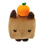 TechMax Solution Cute Square Brown Plush with Orange Soft Toy