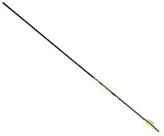 Gold Tip Hunter XT Arrows with Rapt