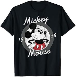 Disney Mic