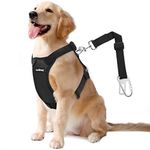 VavoPaw Dog Vehicle Safety Vest Harness, Adjustable Soft Padded Mesh Car Seat Belt Leash Harness with Travel Strap and Carabiner for Most Cars, XXL Size, Black