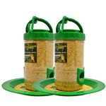 Amijivdaya Small Bird Feeder -Pack of 2 (Green and Transparent)