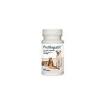 ProHepatic Liver Support Chewable T
