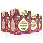 Adanim Bio Eucalyptus, Thyme & Mullein Leaf Tea Bags - Organic Herbal Tea Blend for Lung Health, Caffeine Free, Respiratory Tea (Pack of 4, total of 80 individually wrapped tea bags) Breathe Deep tea