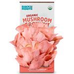 Back to the Roots Organic Pink Mushroom Grow Kit, Harvest Gourmet Mushrooms In 10 Days