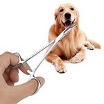 Pet Ear Locking Forceps Dog Ear Hair Puller Pet Groomers Scissor Dog Grooming Locking Tweezers, Good Strong Animal Care Pet Groomers Tool(S)