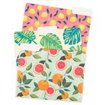 U Brands Fashion File Folders Set, Office Supplies, Citrus Squeeze, FSC Certified, Assorted Styles 6 Count, 4622WPDQ12