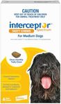 Interceptor Spectrum Heartworm & Worms for Dogs 11 - 22kg - 6 Pack