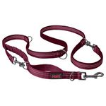 HALTI Anatomy Multifunctional Dog Leash – Shock Absorbing Double-Ended Leash, Ideal for Dog Walking & Training. Comfortable, Reflective & Lightweight. Suitable for Puppies (Size Large, Magenta)