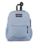 JanSport Central Adaptive Pack Whee