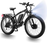 QIKAITU K800 Dual Motor 250W Electr