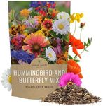 Bulk Wildflower Seeds Butterfly and