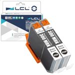 LCL Compatible Ink Cartridge PFI-300 PFI-300MBK Pigment (2Pack Matte Black) Replacement for Canon imagePROGRAF PRO-300