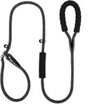 Dogit Dog Leash For Large Dogs