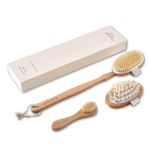 Dry Brushing Body Brush Set – Natural Bristle Spa Exfoliator Kit with Face Cleansing Brush, Long Dry Brushing Body Brush for Lymphatic Drainage & Massaging Cellulite Brush for Smooth, Radiant Skin