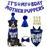 Dog Birthday Party Supplies, LMSHOWOWO Multi Sizes Dog Birthday Bandana Boy Dog Birthday Hat Bow Tie Numbers It’s My Bday Mother Puppers Banner for Large Extra Large Dogs Pets Birthday (X-Large, Blue)