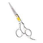 Equinox Hairdressing Scissors- 6.5" Barber Salon Hair Scissors Professional- Sharp Stainless Steel Hair Cutting Scissor for Hairdressers, Men, Women - Multipurpose Haircut and Beard Trimming Shears