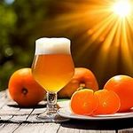 Sunbeam Tangerine Summer White Ale 