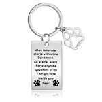 AhlsenL Pet Memorial Keychain, Gift Keychain for Loss of Pet Dogs Cats, Pet Sympathy Gift Remembrance Jewelry Keyrings