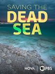 Saving the Dead Sea