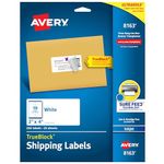 Avery Shipping Labels with TrueBlock Technology for Inkjet Printers 2" x 4", Pack of 250 (8163)