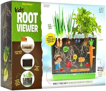 Root Viewe