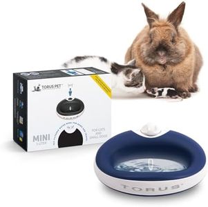 Torus 1-Liter Water Bowl, Blue