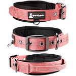 SparklyPets Heavy Duty Dog Collar with Handle for Medium and Large Dogs – Professional Collar with Reflective Stitches, Soft Handle & Nickel-Plated Buckle (Large (18"~22"), Pink)