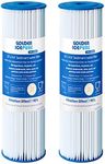 GOLDEN ICEPURE 5 Micron 20" x 4.5" Whole House Big Blue Sediment Pleated Water Filter Compatible for DuPont WFHDC3001, GE FXHSC, Culligan R50-BBSA, Pentek R50-BB, W50PEHD, GXWH40L, CP5-BBS 2-PACK