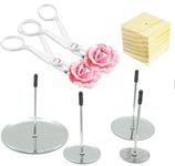 Cake Flower Nail Lifters Set - Stainless-Steel Baking Tools,6 Pcs,Icing Flowers Decoration