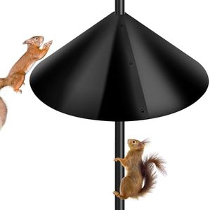 PP Squirre