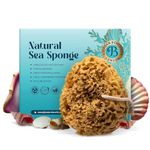 Jordan Benedict Natural Sea Sponge, Unbleached Honeycomb Shower Sponge, Body Sponge on a Rope, Exfoliating Bath Sponge, Organic Bath Sponges for Adults (M Pack of 1)