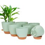 CSYY Plant Pots Indoor, 7Pack Plastic Plant Pots 20.3/19/17.7/16.5/15.2/14/12.7cm, Flower Pots Outdoor Self Watering Plant Pot with Drainage Holes Tray, Plastic Planter for Garden House Plants(Green)