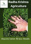 Radha Krishna Agriculture® Imported Zoysia Lawn Grass Seeds for Home and Gardening (Pack of 1 KG)
