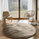 Goolela Circle Area Rug Large Round Rug 6ft Beige Faux Fur Rug Machine Washable Rug for Living Room Fluffy Fuzzy Shag Rug for Bedroom Shaggy Rug Soft Rug Floor Rug