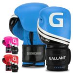 Gallant Boxing Gloves - Kickboxing Gloves Mitts for Pro Training Workout Heavy Punching Bag Muay Thai and MMA Sparring - IMP Padding and Ventilated Palm Heritage Series - Men Women Kids (Blue 14 OZ)