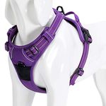 WINHYEPET True Love Dog Harness, No-Pull Reflective Pet Harness with 2 Leash Clips Adjustable Soft Padded Dog Vest with Easy Control Handle for Small Medium Large Dog TLH5651(Purple,M)