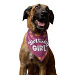 TheYaYaCafe Printed Dog Bandana, Quirky Dog Bandanas Gifts for Pets, Dog Accessories - Birthday Girl_Medium